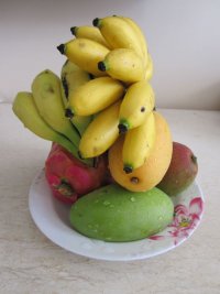  fruits.jpg
