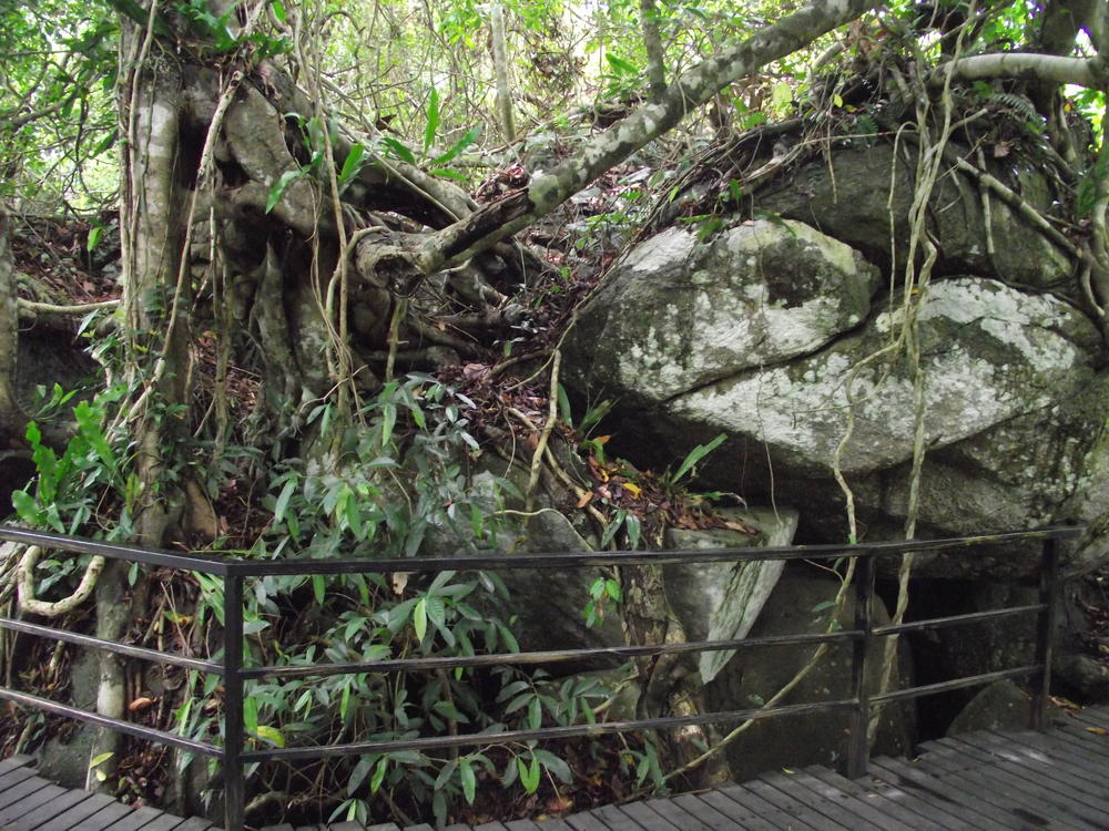  Изображение 099.jpg