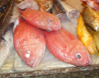  Возможно красный горбыль.jpg