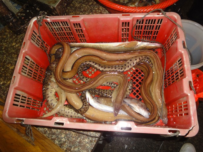  1фото -http_imgload5.jpg