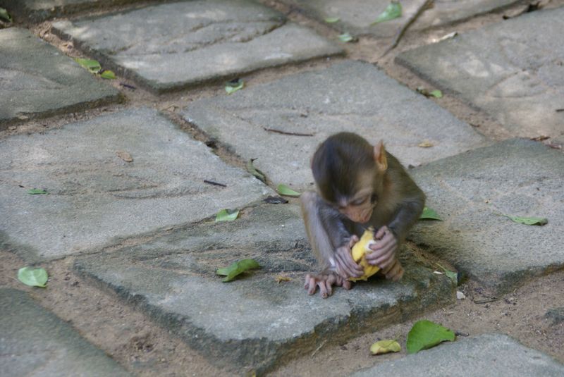  DSC04452 [800x600].JPG