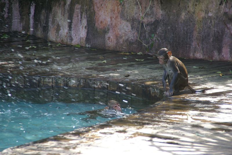  DSC04457 [800x600].JPG