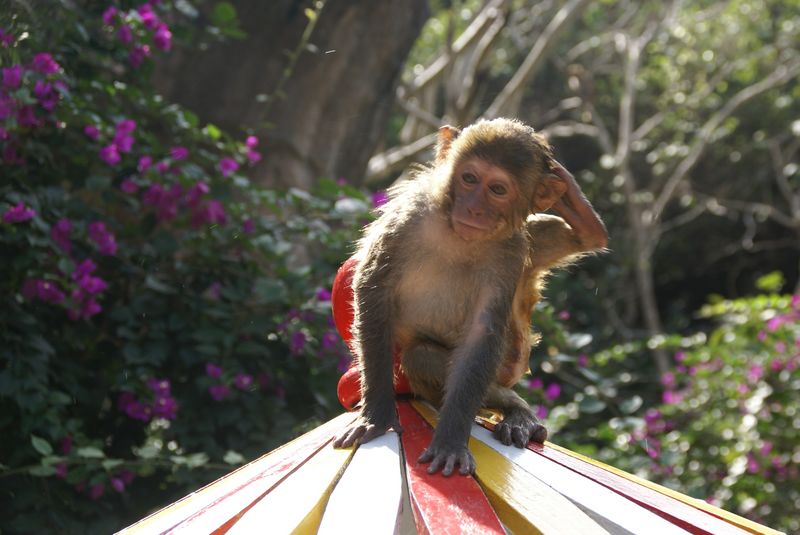  DSC04464 [800x600].JPG