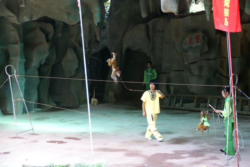  DSC04492 [800x600].JPG