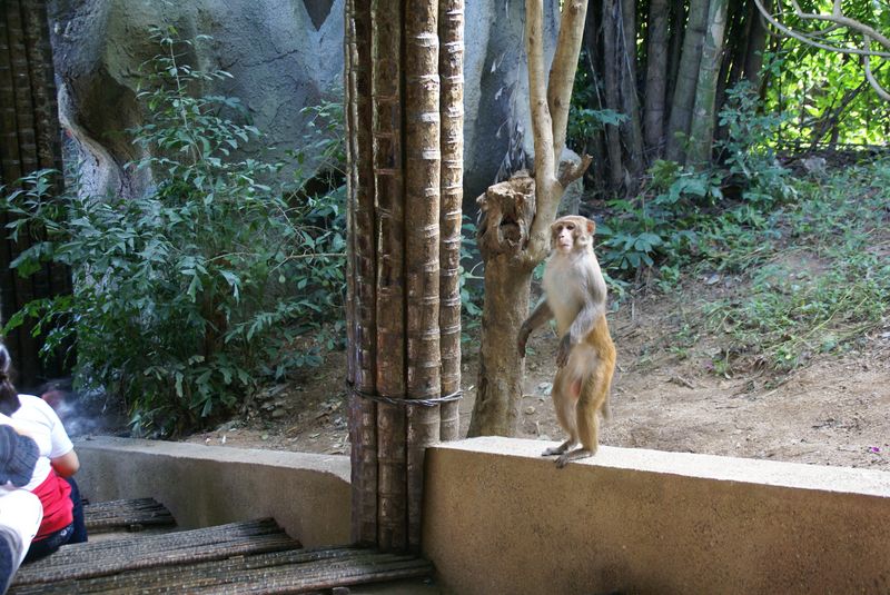  DSC04505 [800x600].JPG