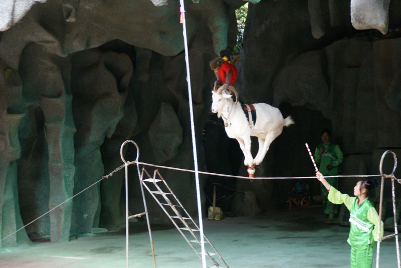  DSC04512 [800x600].JPG