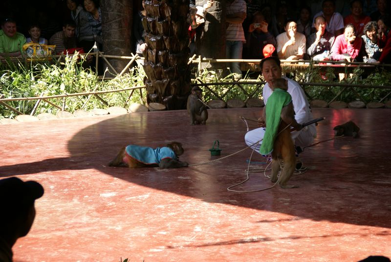  DSC04531 [800x600].JPG