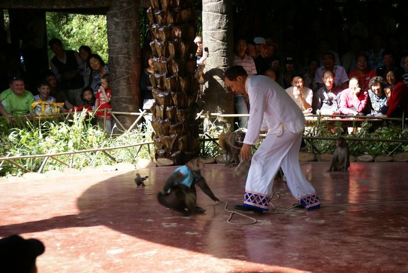  DSC04540 [800x600].JPG