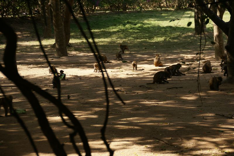  DSC04544 [800x600].JPG