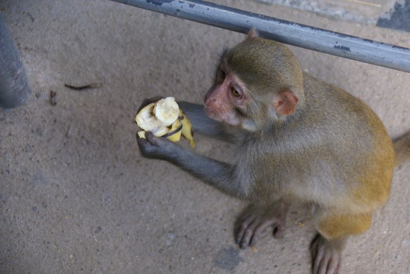  DSC04546 [800x600].JPG