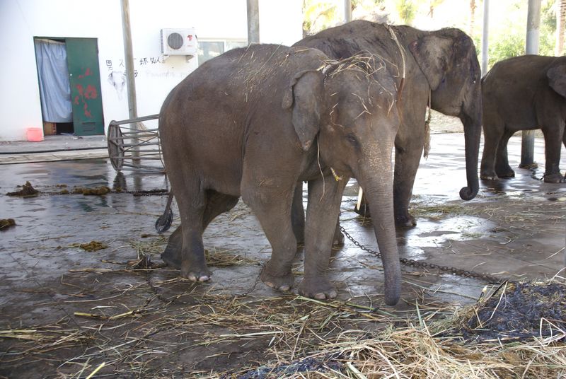  DSC05394 [800x600].JPG