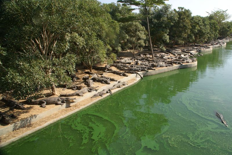  DSC05402 [800x600].JPG