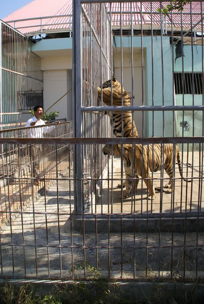  DSC05485 [800x600].JPG